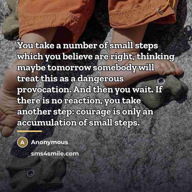 “You take a number of small steps which you believe…” quote by Anonymous