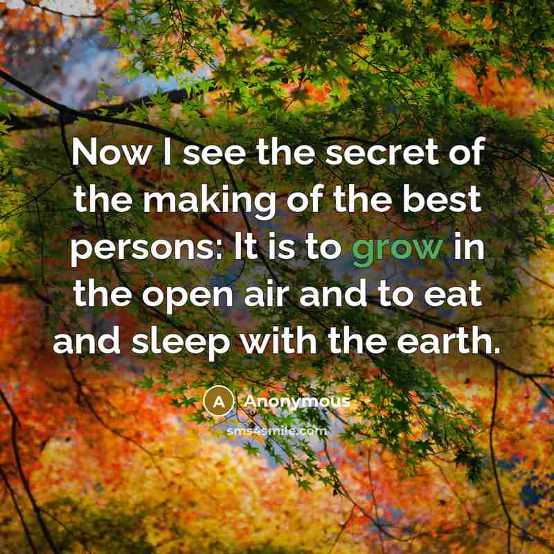 “Now I see the secret of the making of the…” quote by Anonymous
