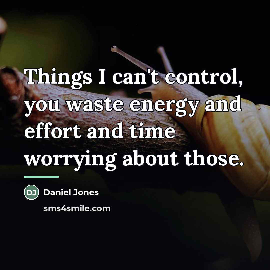 “Things I can't control, you waste energy and effort and…” quote by Daniel Jones