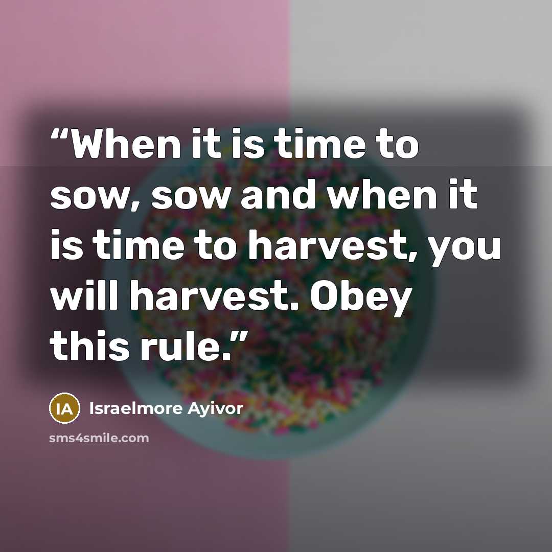 “When it is time to sow, sow and when it is time to harvest, you will harvest. Obey this rule.” quote by Israelmore Ayivor