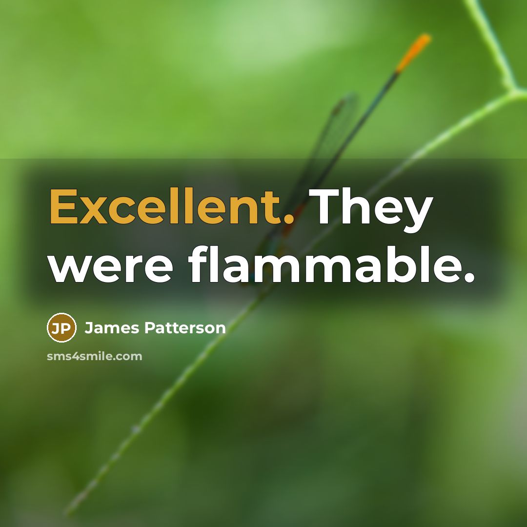 “Excellent. They were flammable.…” quote by James Patterson