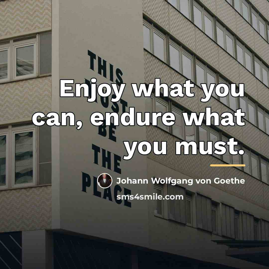 “Enjoy what you can, endure what you must.…” quote by Johann Wolfgang von Goethe