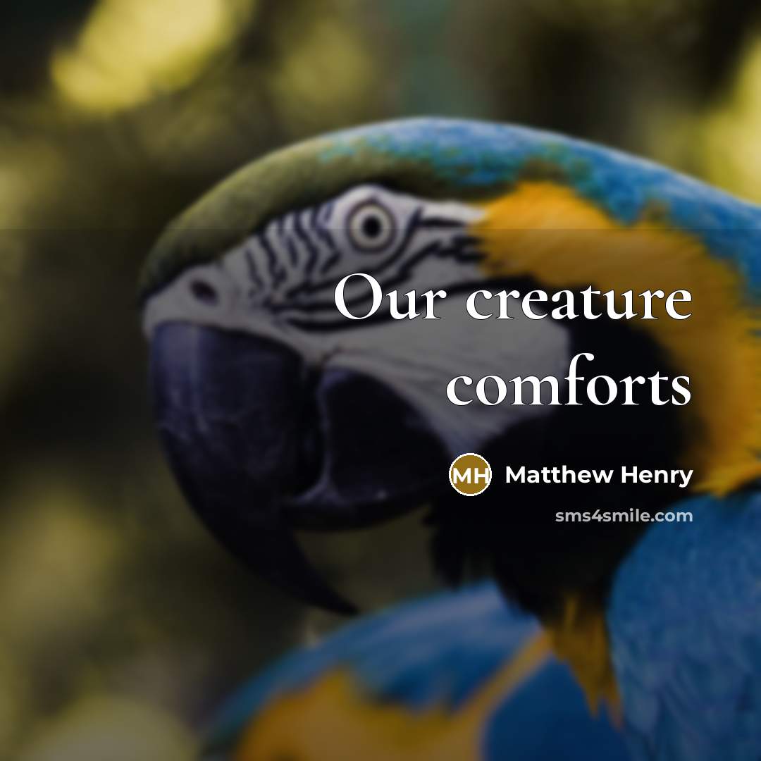“Our creature comforts” quote by Matthew Henry
