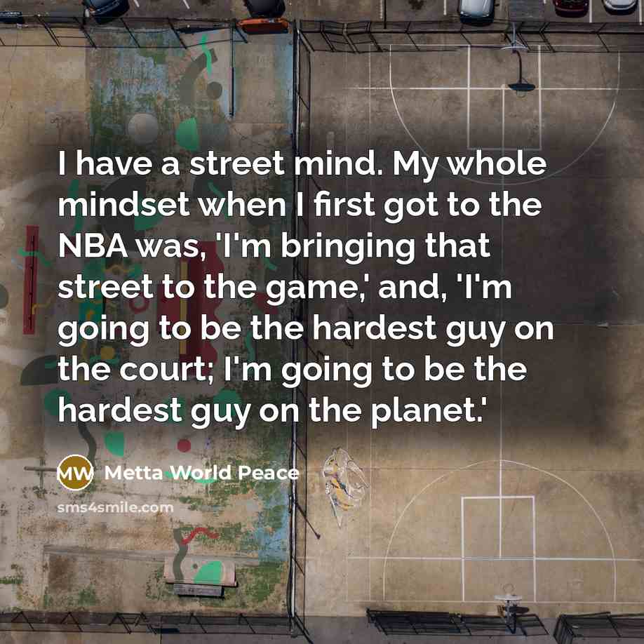 “I have a street mind. My whole mindset when I…” quote by Metta World Peace