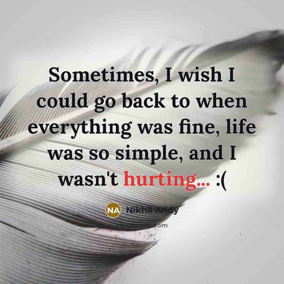 “Sometimes, I wish I could go back to when everything was fine, life was so simple, and I wasn't hurting... :(” quote by Nikhil Andy