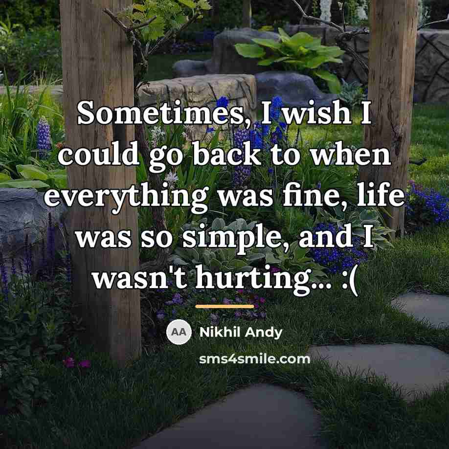 “Sometimes, I wish I could go back to when everything…” quote by Nikhil Andy