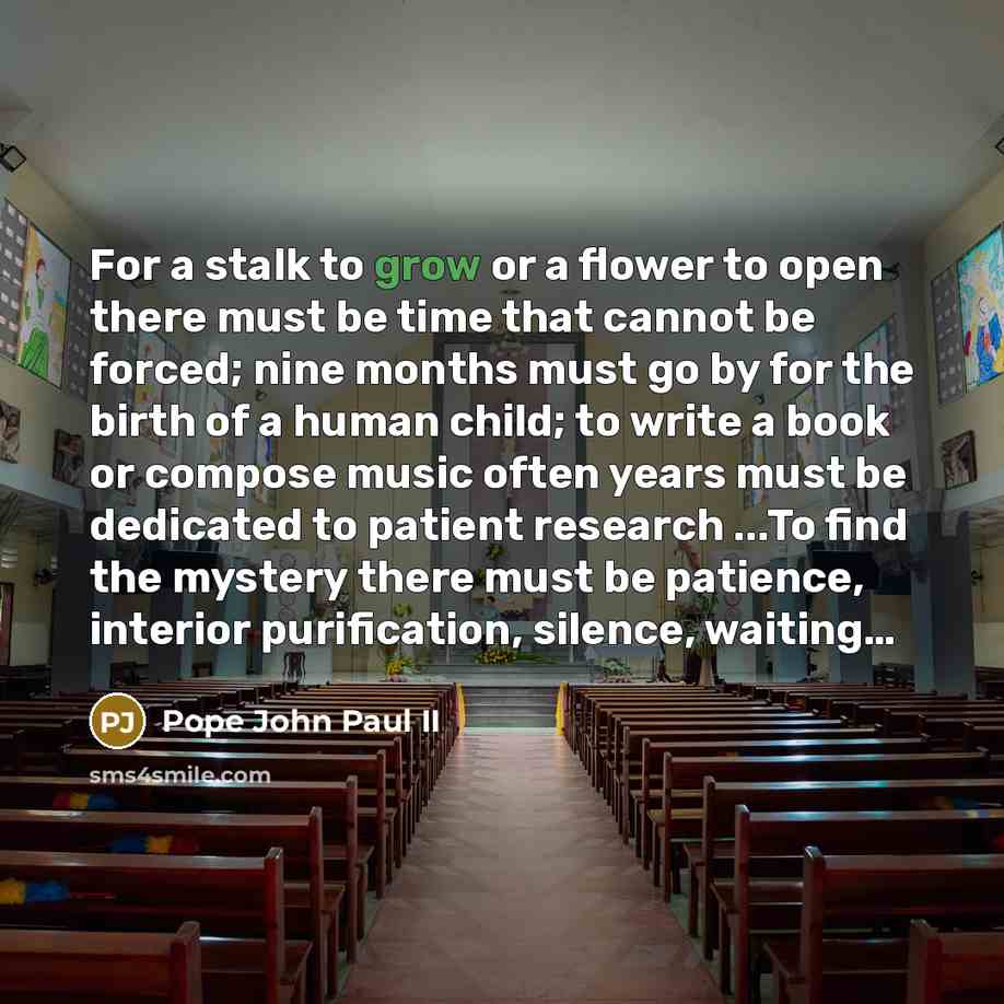“For a stalk to grow or a flower to open…” quote by Pope John Paul II