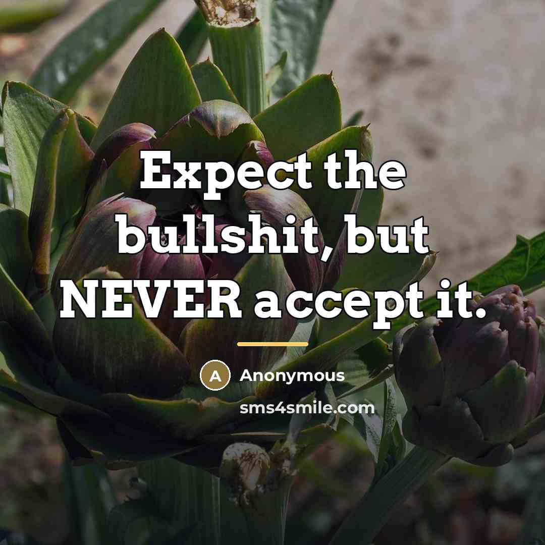 “Expect the bullshit, but NEVER accept it.…” quote by Anonymous