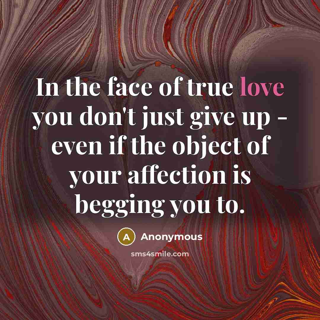 “In the face of true love you don't just give…” quote by Anonymous