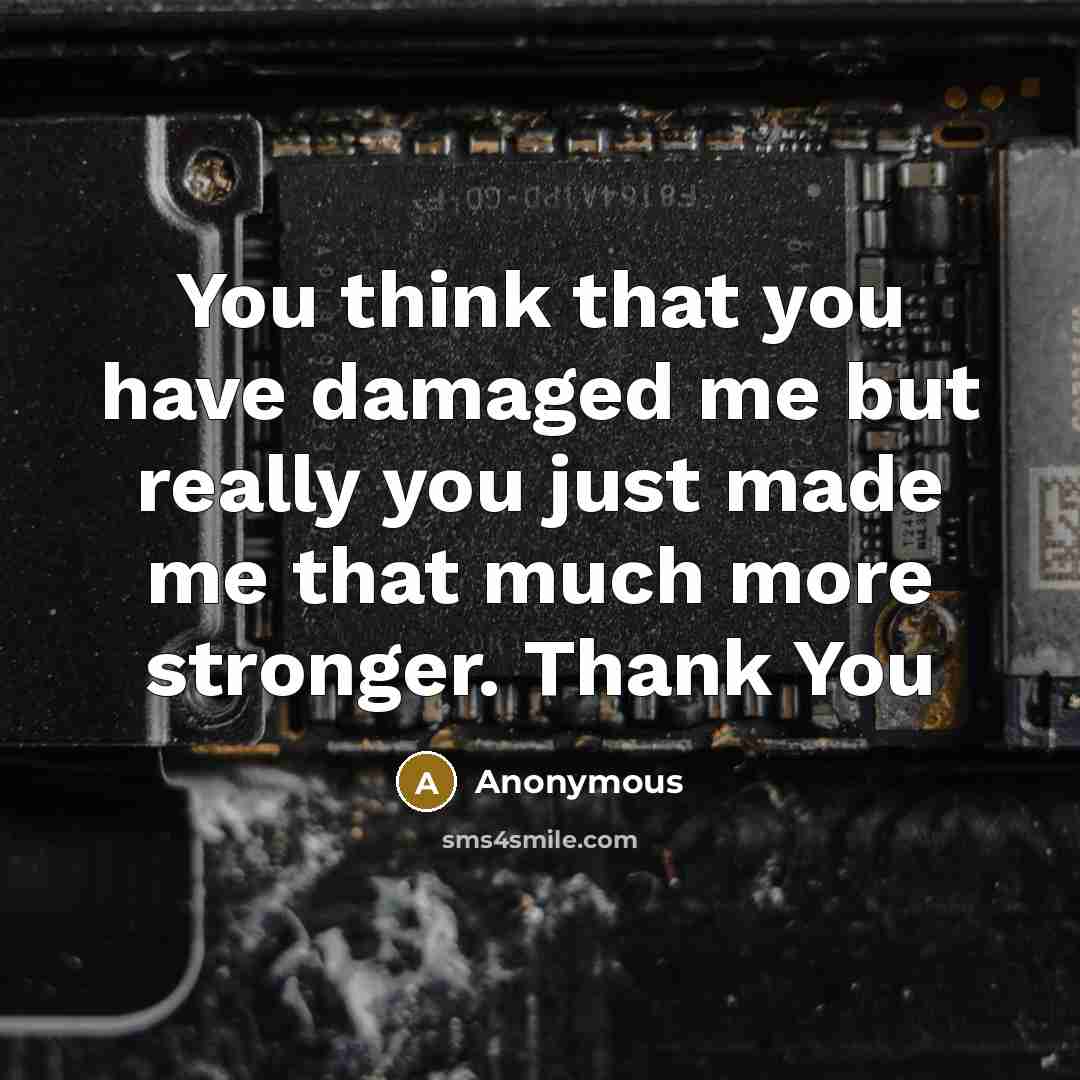 “You think that you have damaged me but really you just made me that much more stronger. Thank You” quote by Anonymous