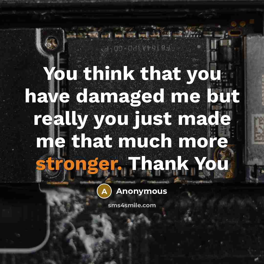 “You think that you have damaged me but really you just made me that much more stronger. Thank You” quote by Anonymous