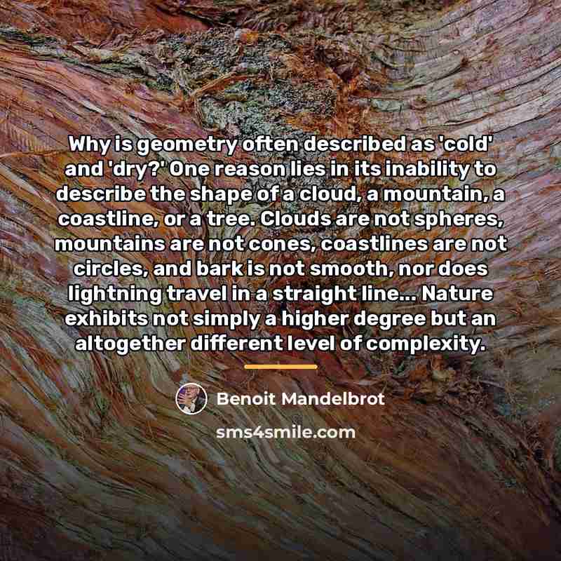 “Why is geometry often described as 'cold' and 'dry?' One…” quote by Benoit Mandelbrot