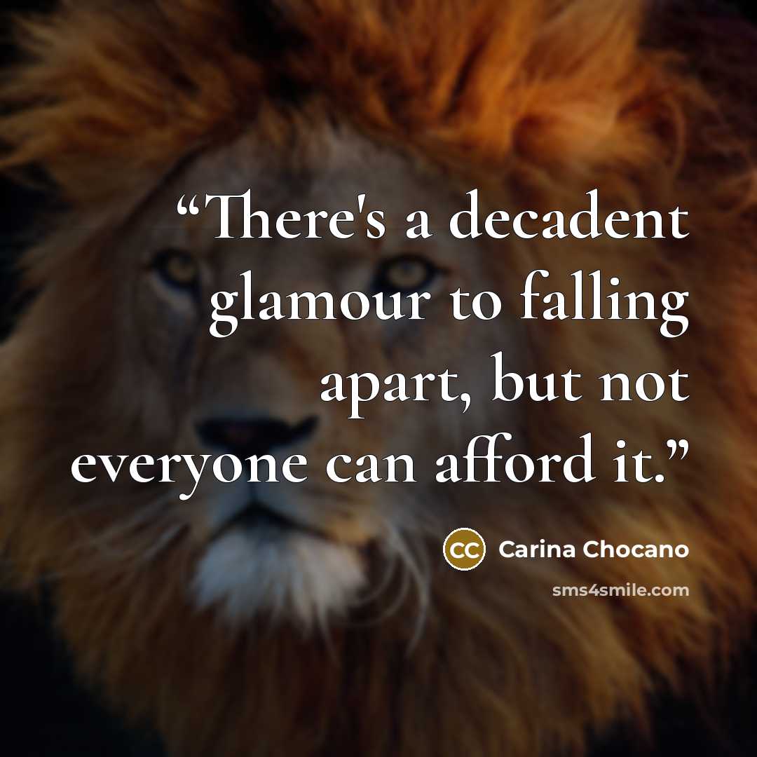 “There's a decadent glamour to falling apart, but not everyone can afford it.” quote by Carina Chocano