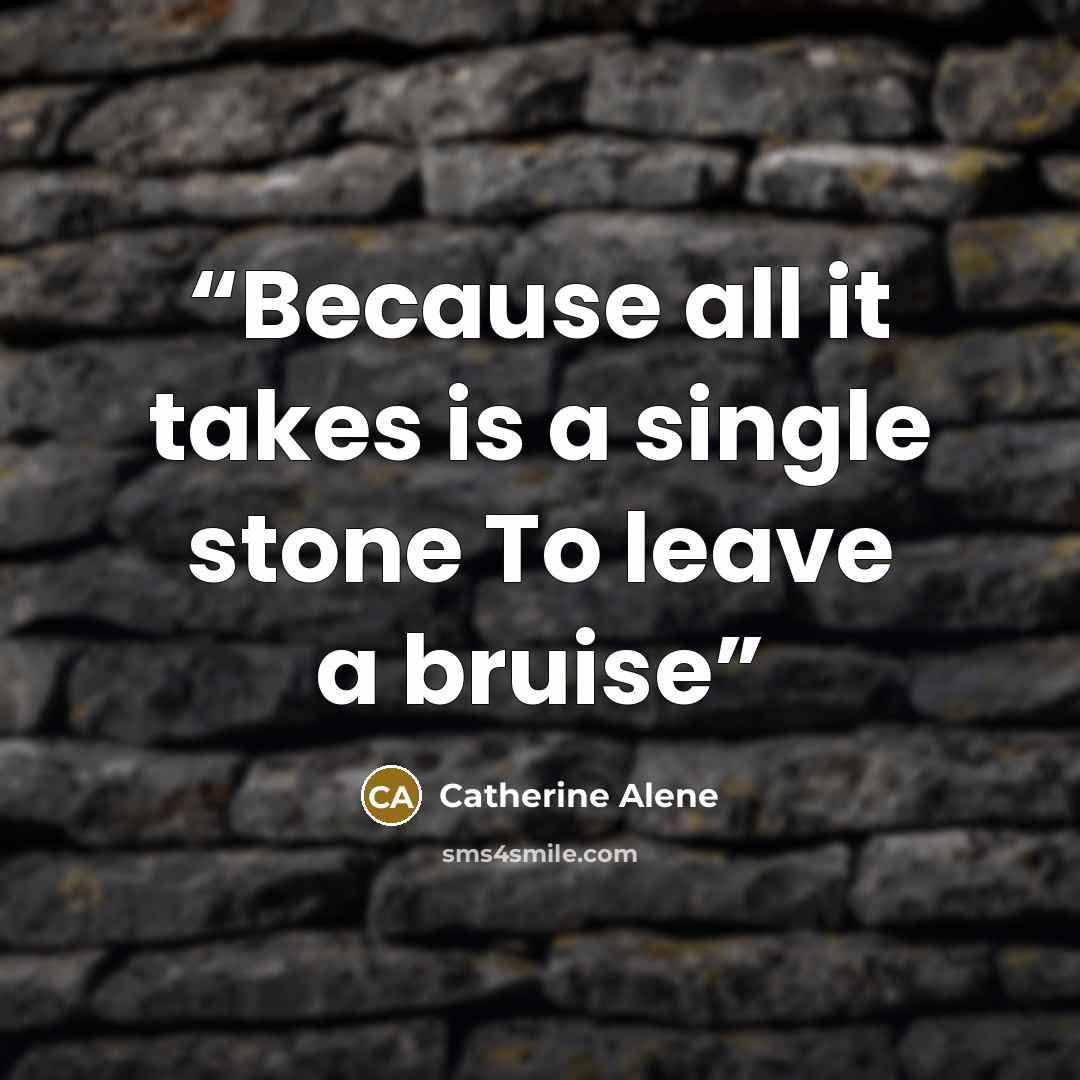 “Because all it takes is a single stone To leave a bruise” quote by Catherine Alene