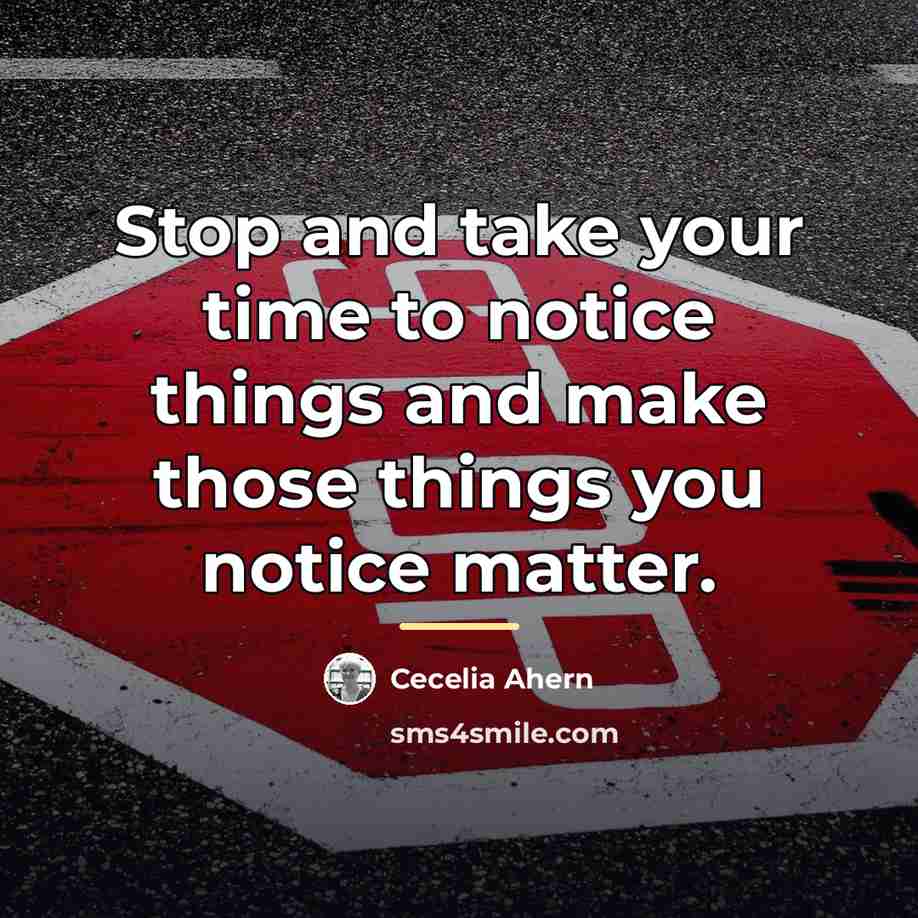 “Stop and take your time to notice things and make…” quote by Cecelia Ahern