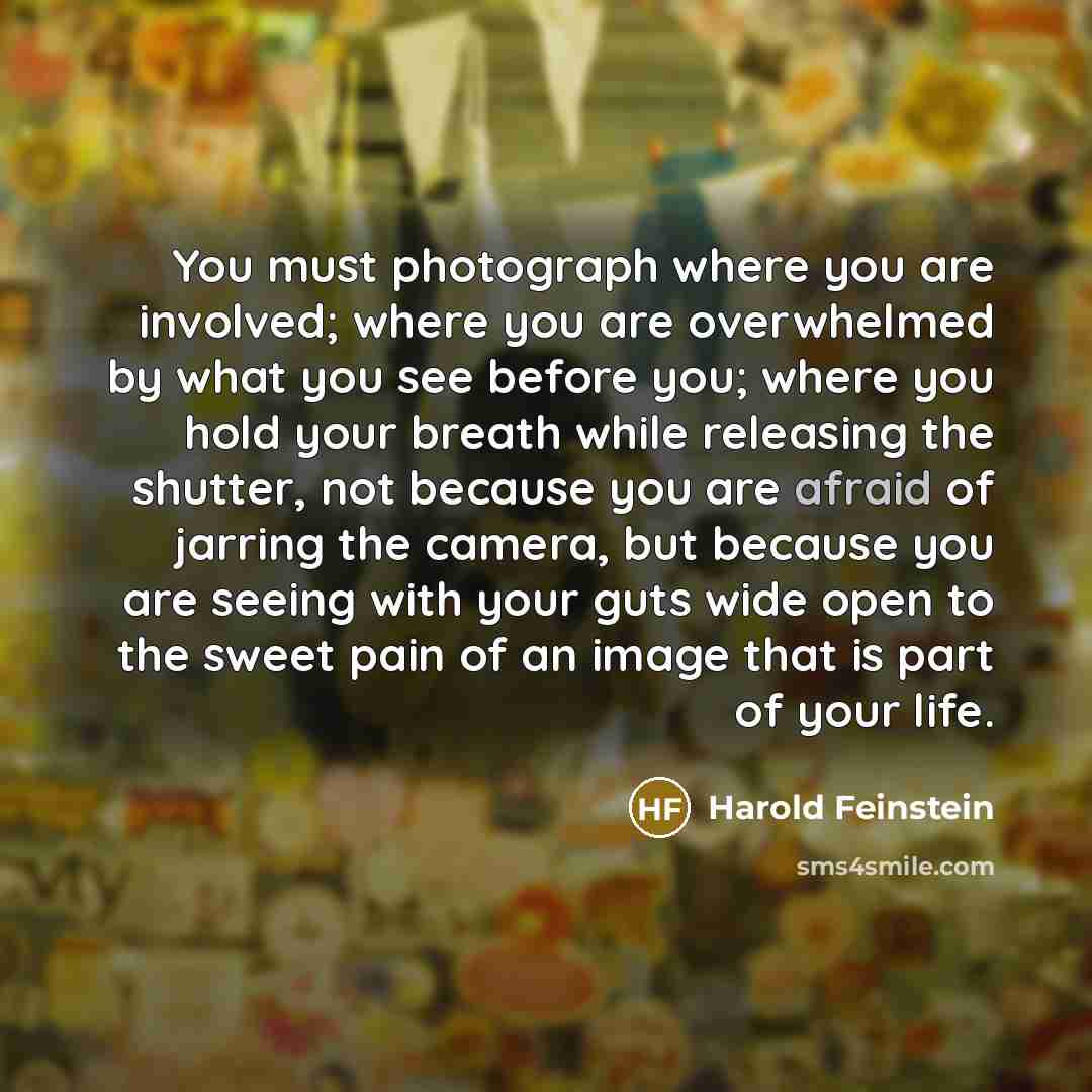 “You must photograph where you are involved; where you are…” quote by Harold Feinstein