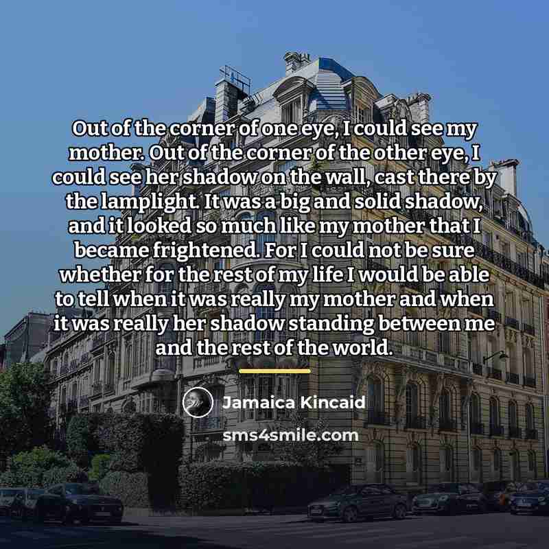 “Out of the corner of one eye, I could see…” quote by Jamaica Kincaid