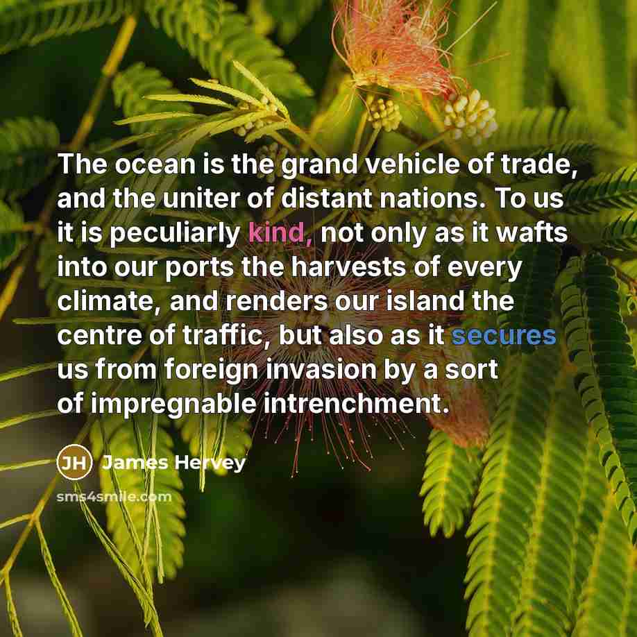 “The ocean is the grand vehicle of trade, and the…” quote by James Hervey
