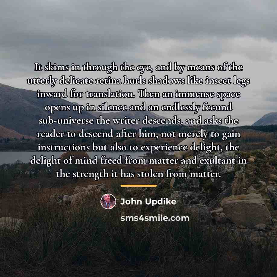 “It skims in through the eye, and by means of…” quote by John Updike