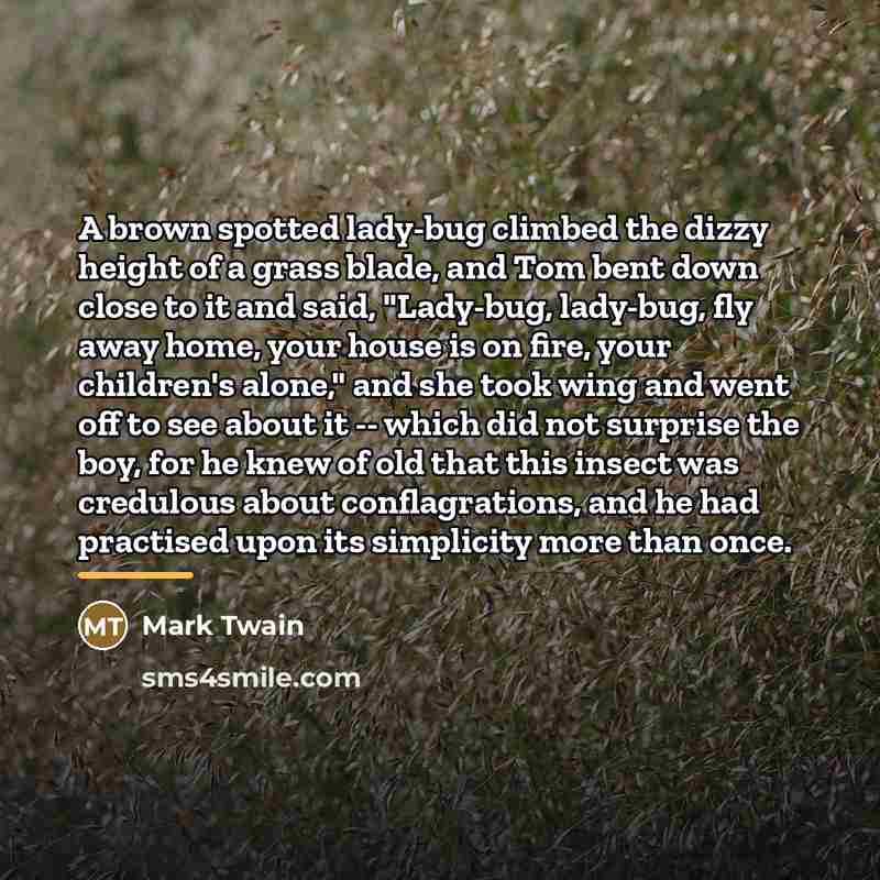 “A brown spotted lady-bug climbed the dizzy height of a…” quote by Mark Twain