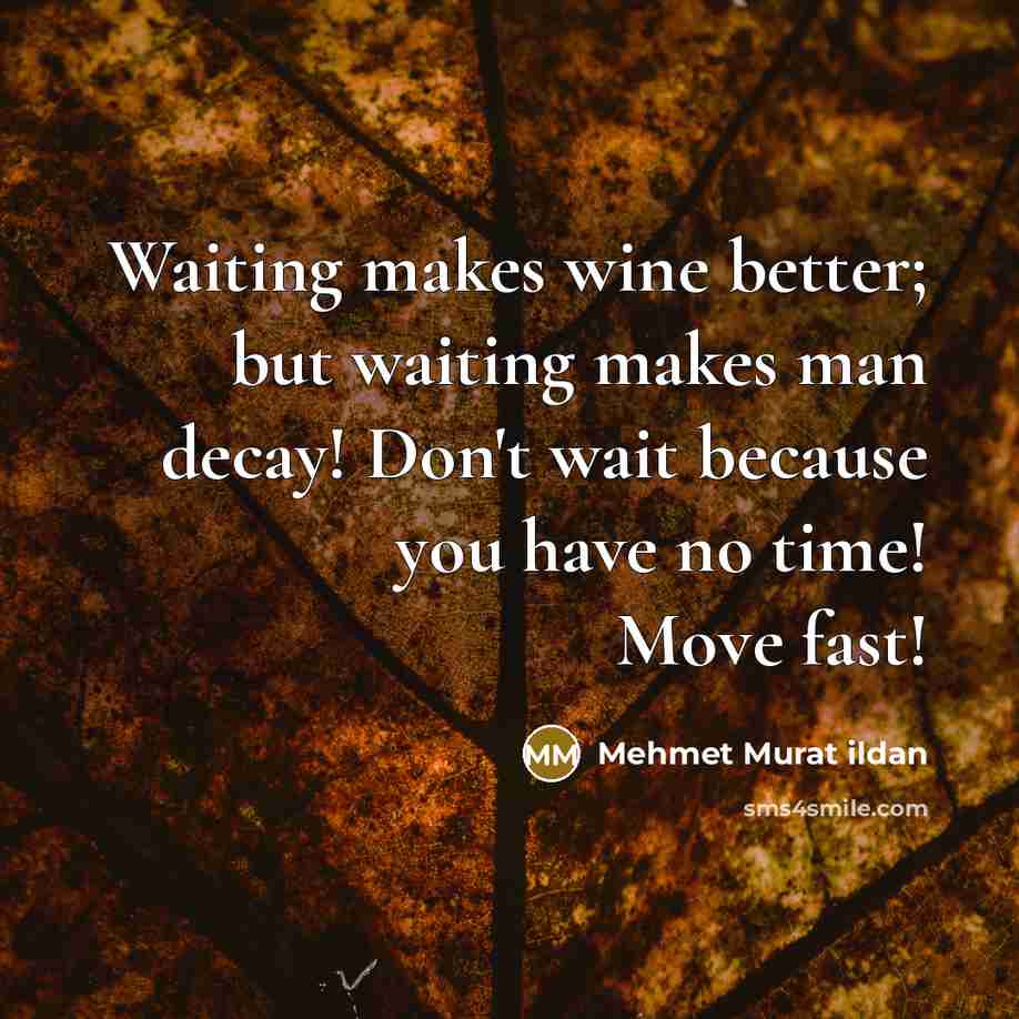 “Waiting makes wine better; but waiting makes man decay! Don't…” quote by Mehmet Murat Ildan
