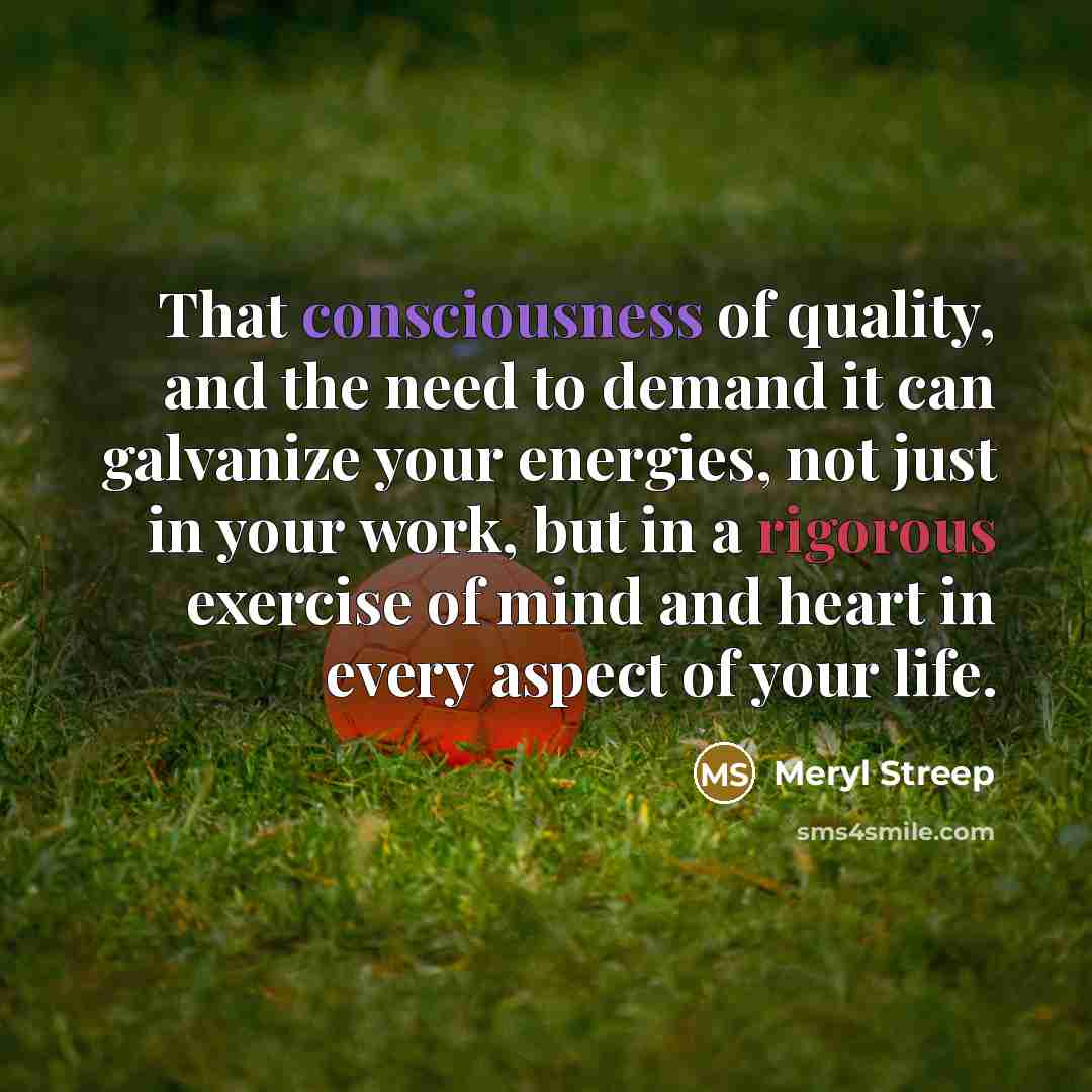 “That consciousness of quality, and the need to demand it…” quote by Meryl Streep
