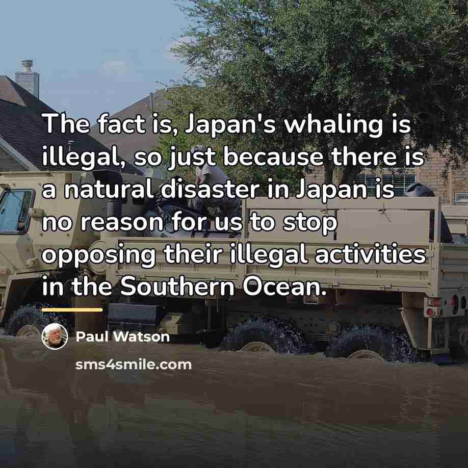 “The fact is, Japan's whaling is illegal, so just because…” quote by Paul Watson