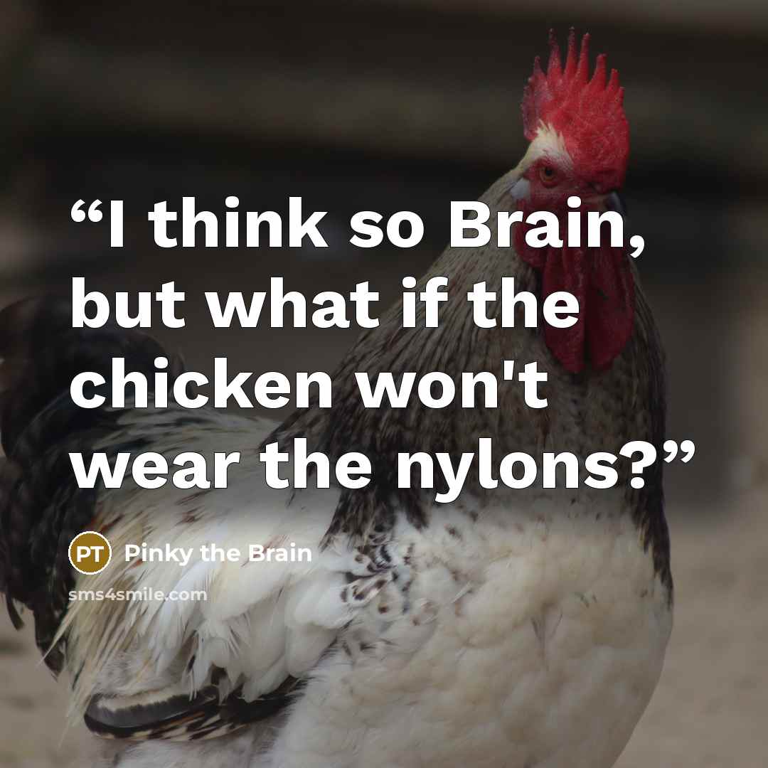 “I think so Brain, but what if the chicken won't wear the nylons?” quote by Pinky the Brain