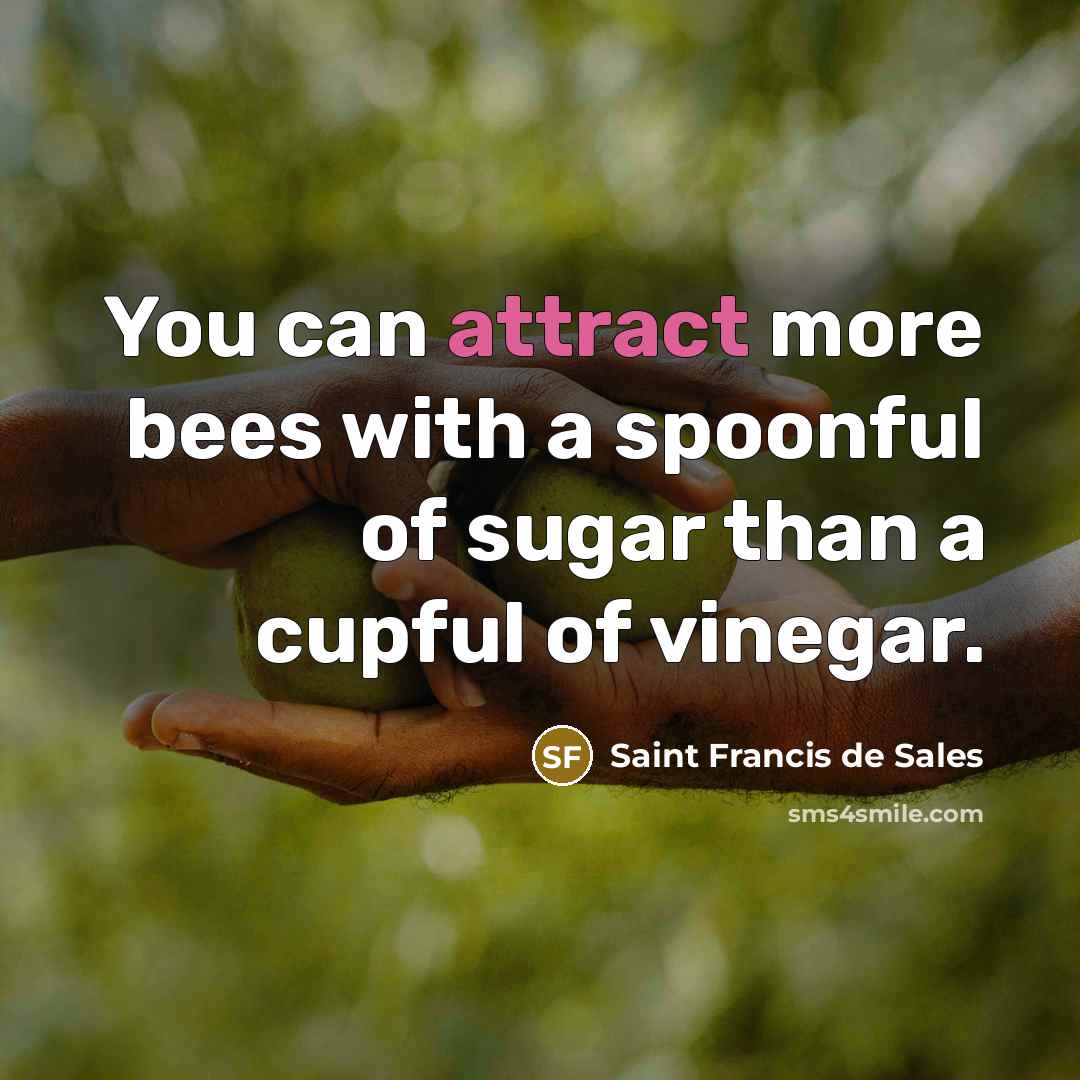 “You can attract more bees with a spoonful of sugar…” quote by Saint Francis de Sales