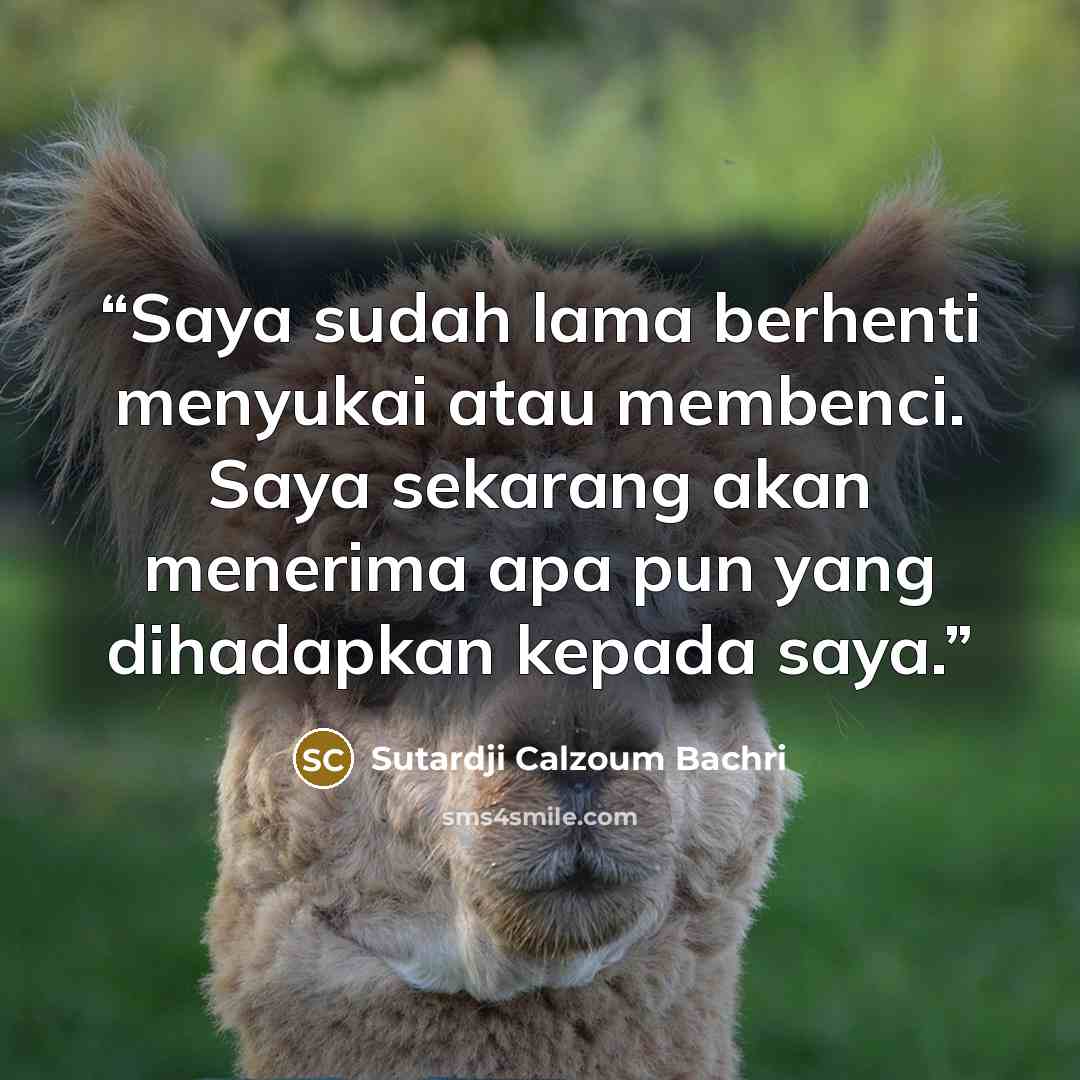 “Saya sudah lama berhenti menyukai atau membenci. Saya sekarang akan menerima apa pun yang dihadapkan kepada saya.” quote by Sutardji Calzoum Bachri