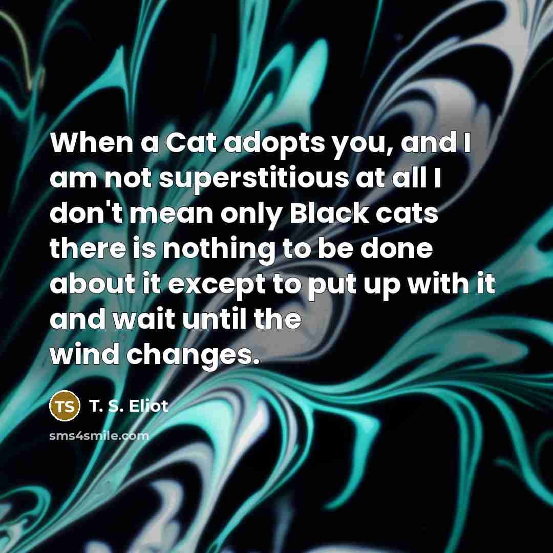 “When a Cat adopts you, and I am not superstitious…” quote by T. S. Eliot