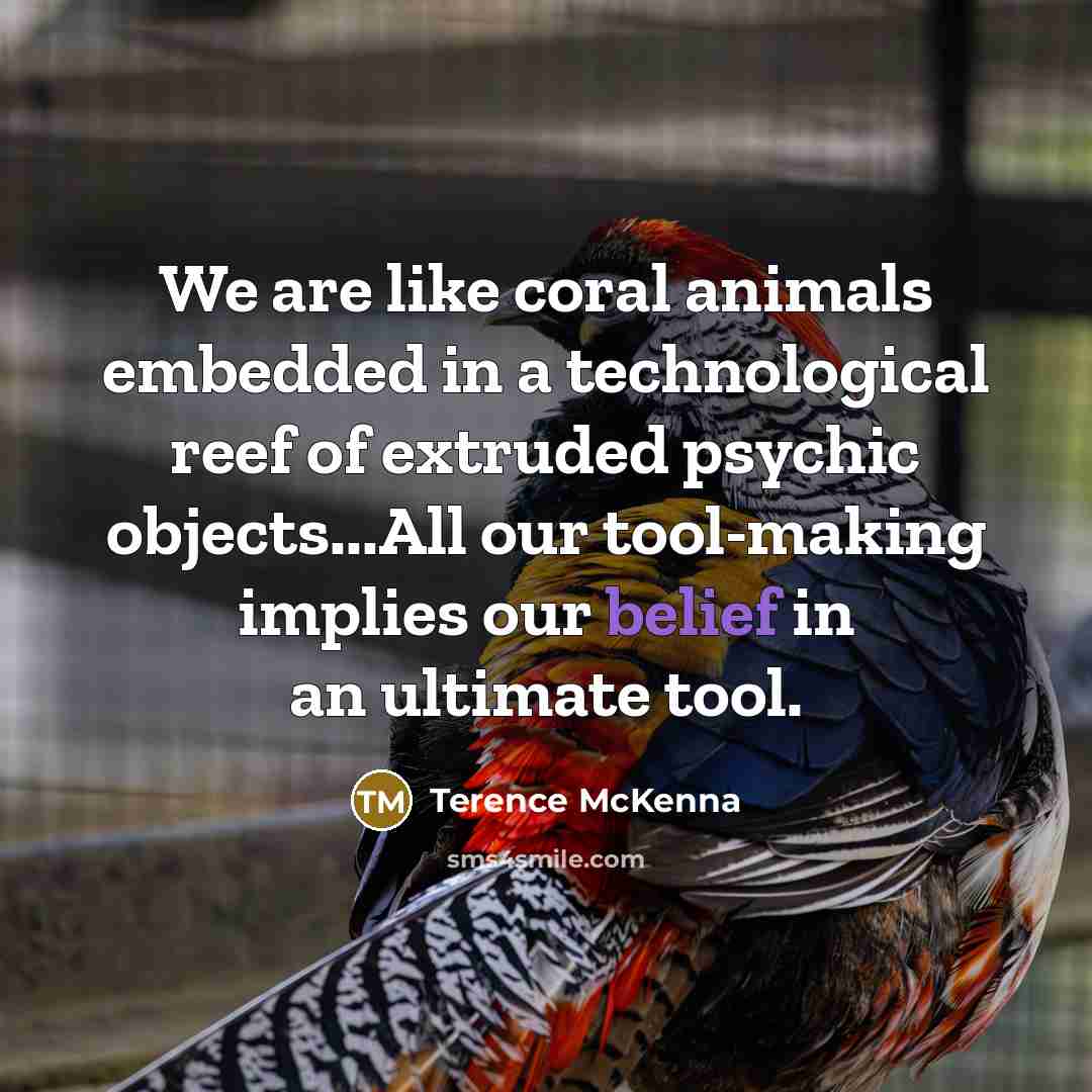 “We are like coral animals embedded in a technological reef…” quote by Terence McKenna