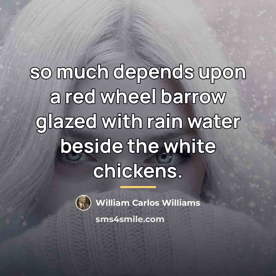 “so much depends upon a red wheel barrow glazed with…” quote by William Carlos Williams