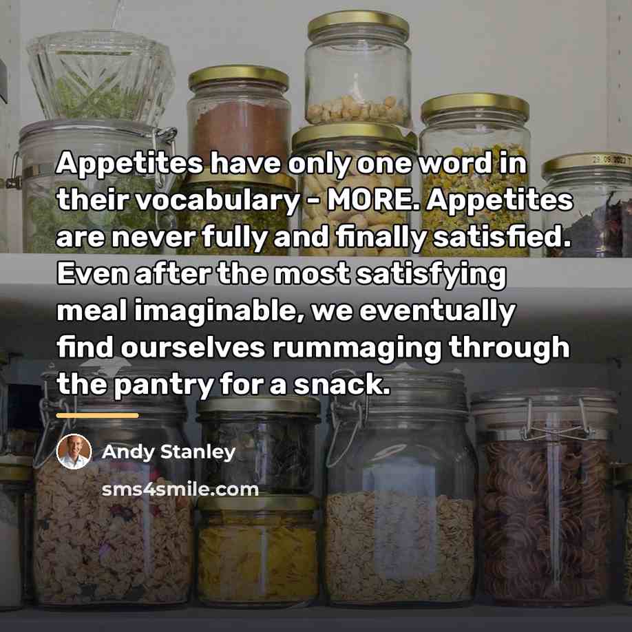 “Appetites have only one word in their vocabulary - MORE.…” quote by Andy Stanley