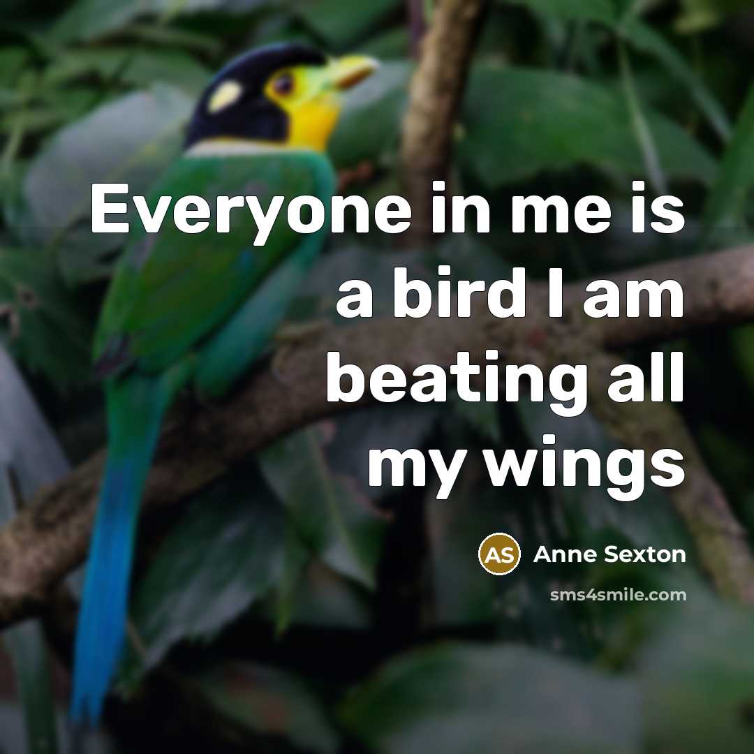 “Everyone in me is a bird I am beating all my wings” quote by Anne Sexton