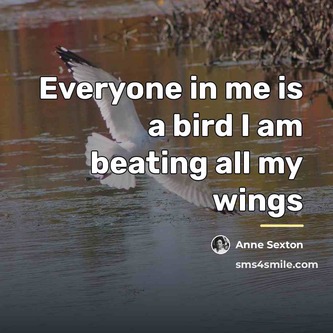 “Everyone in me is a bird I am beating all…” quote by Anne Sexton