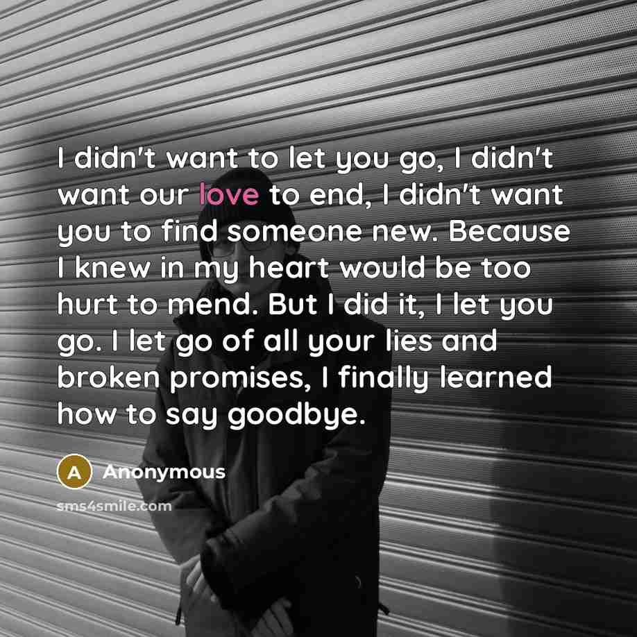 “I didn't want to let you go, I didn't want…” quote by Anonymous