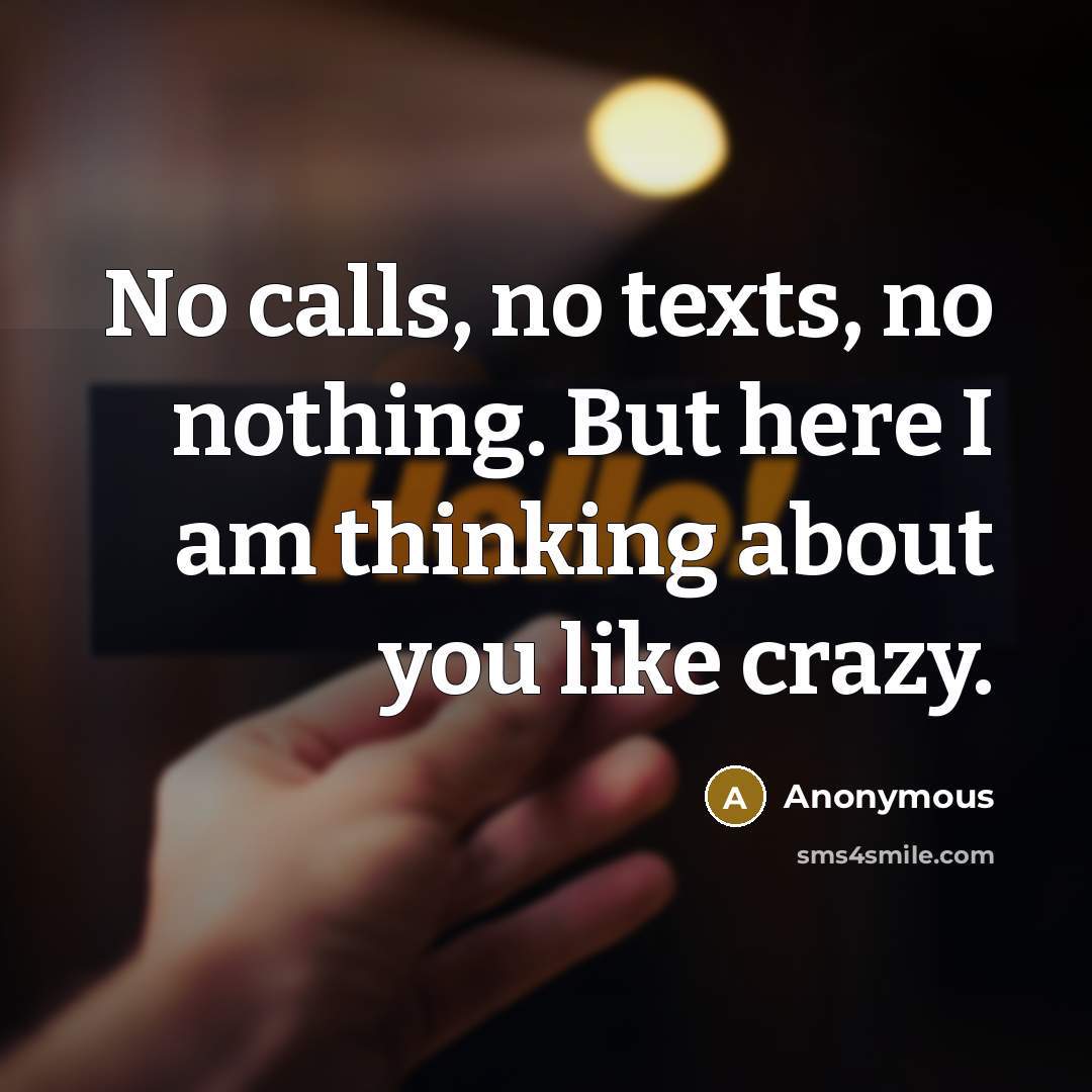 “No calls, no texts, no nothing. But here I am thinking about you like crazy.” quote by Anonymous