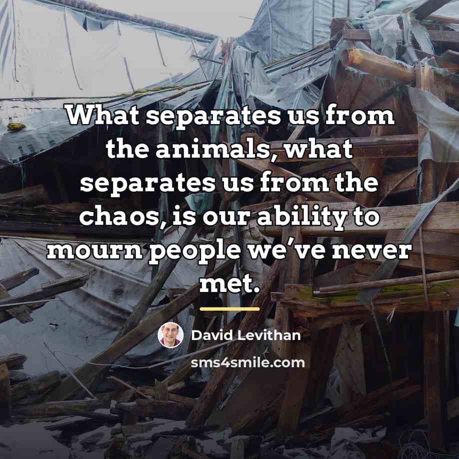 “What separates us from the animals, what separates us from…” quote by David Levithan