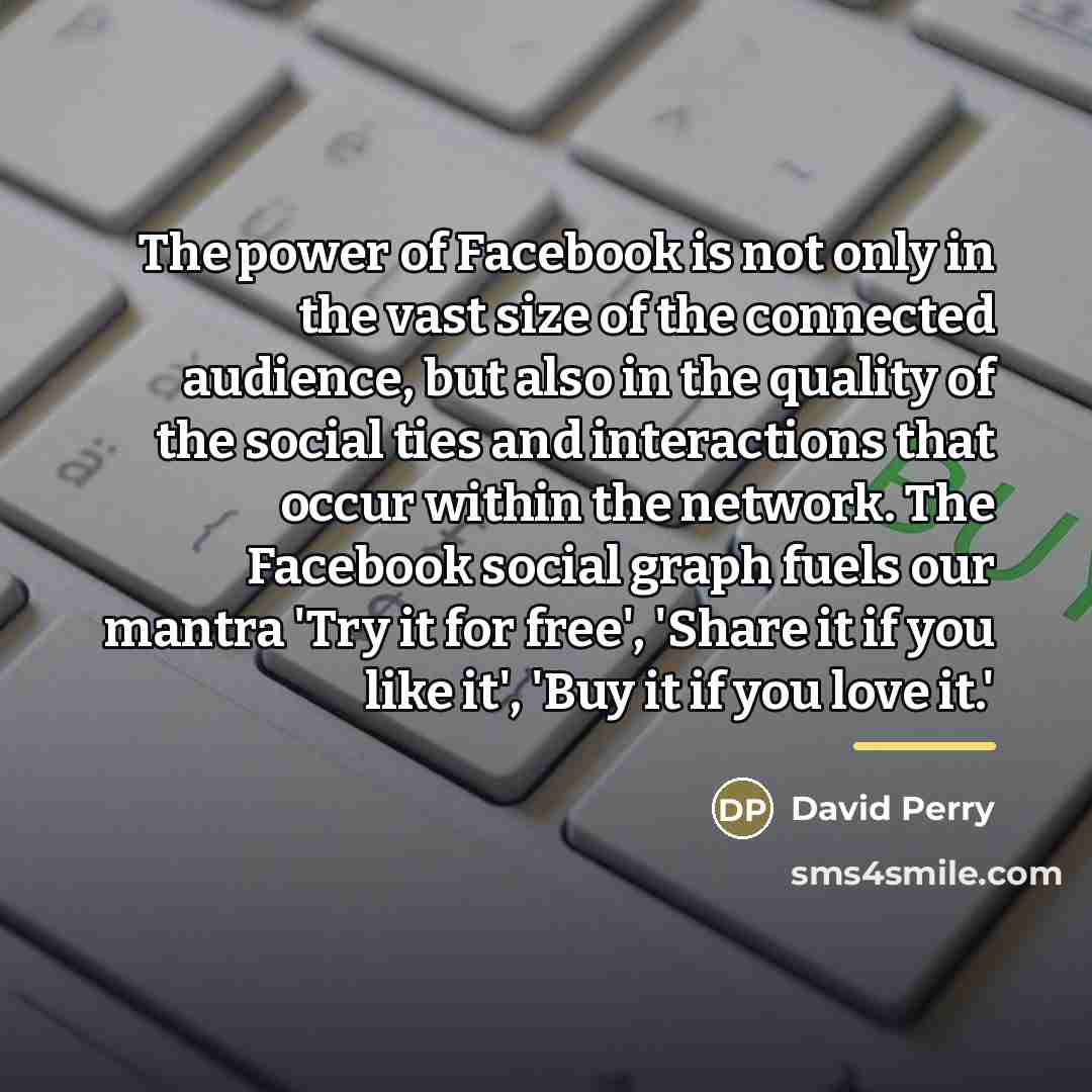 “The power of Facebook is not only in the vast…” quote by David Perry