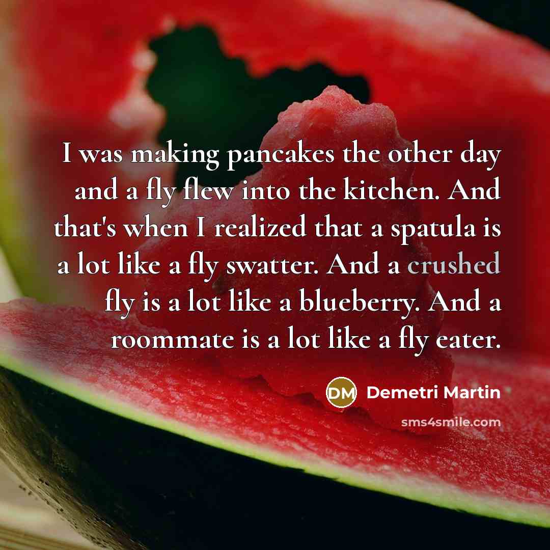 “I was making pancakes the other day and a fly…” quote by Demetri Martin