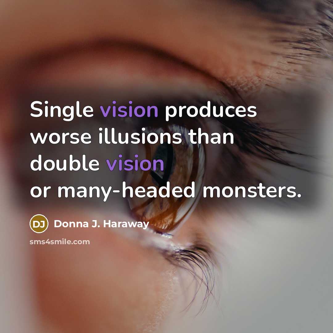 “Single vision produces worse illusions than double vision or many-headed…” quote by Donna J. Haraway