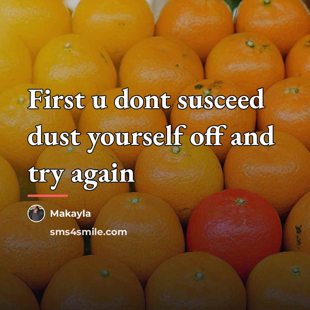 “First u dont susceed dust yourself off and try again…” quote by Makayla