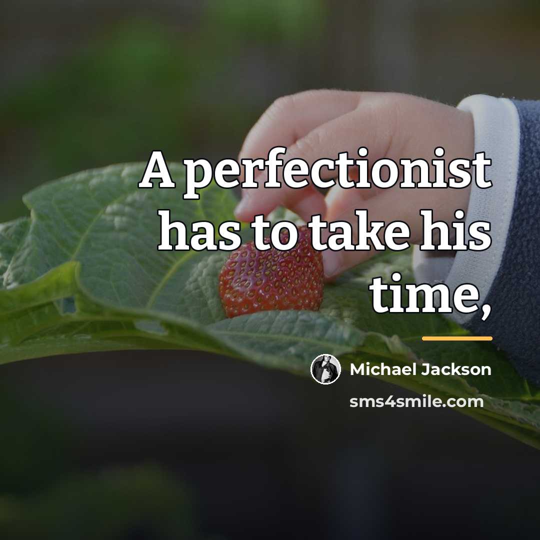 “A perfectionist has to take his time,…” quote by Michael Jackson