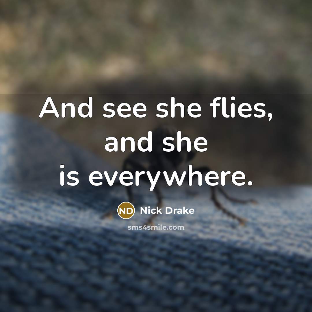 “And see she flies, and she is everywhere.…” quote by Nick Drake