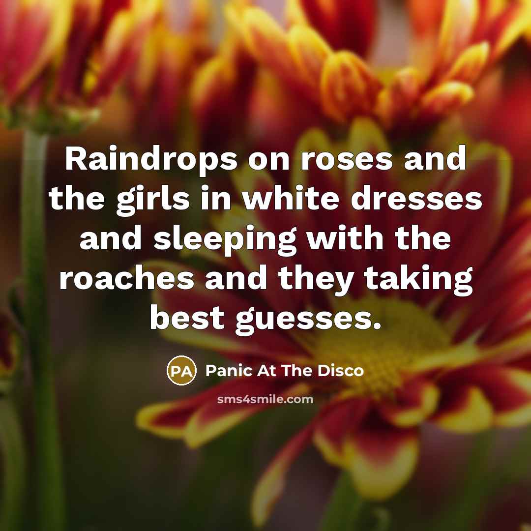 “Raindrops on roses and the girls in white dresses and…” quote by Panic At The Disco