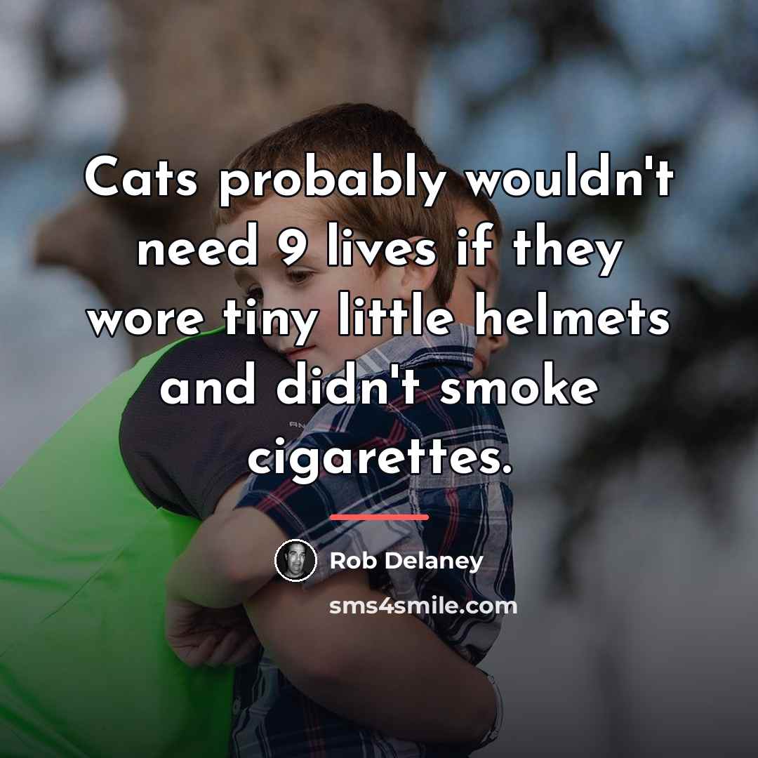 “Cats probably wouldn't need 9 lives if they wore tiny…” quote by Rob Delaney