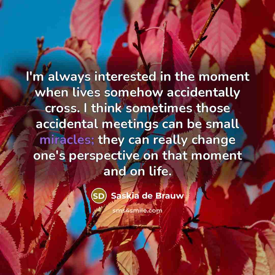 “I'm always interested in the moment when lives somehow accidentally cross. I think sometimes those accidental meetings can be small miracles; they can really change one's perspective on that moment and on life.” quote by Saskia de Brauw