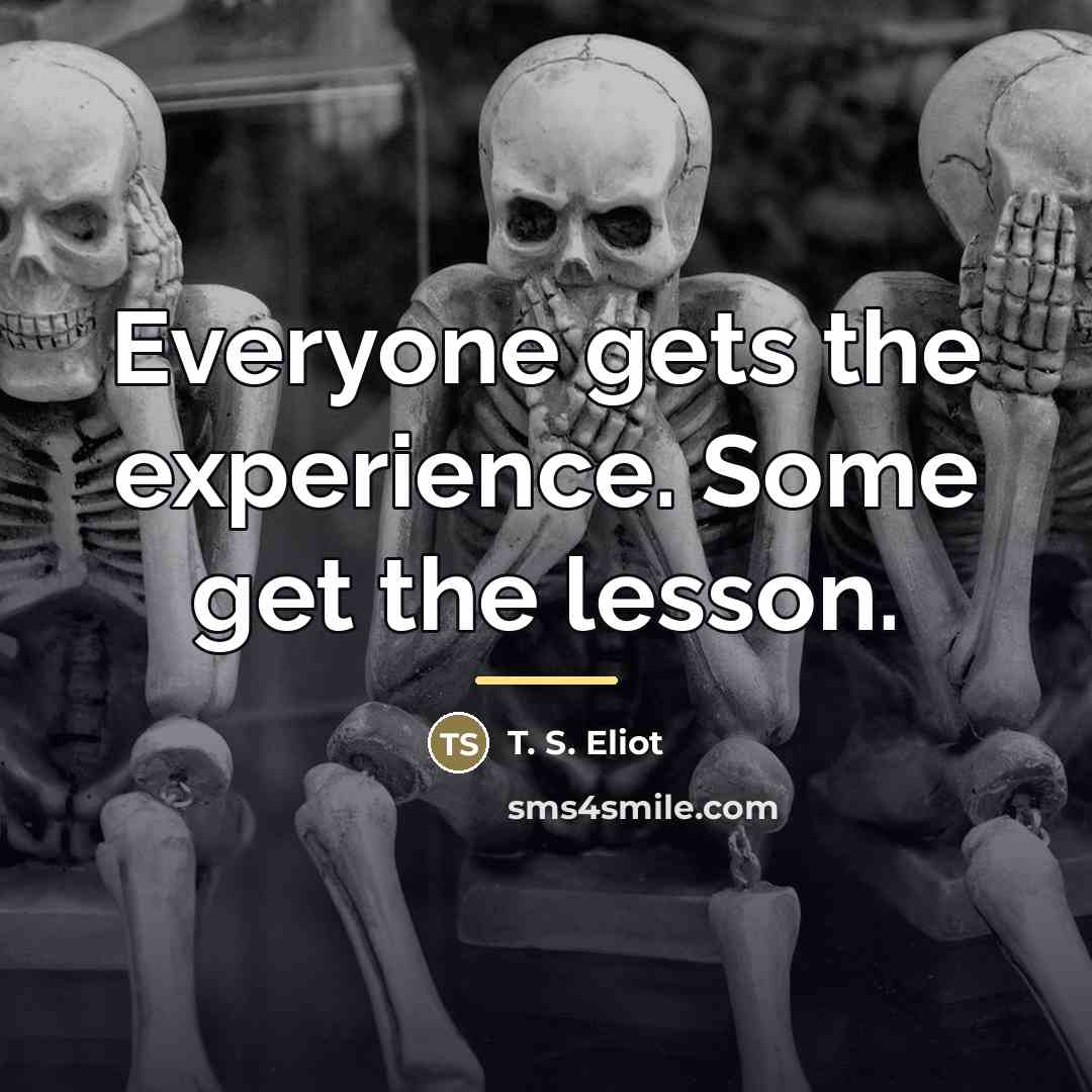 “Everyone gets the experience. Some get the lesson.…” quote by T. S. Eliot