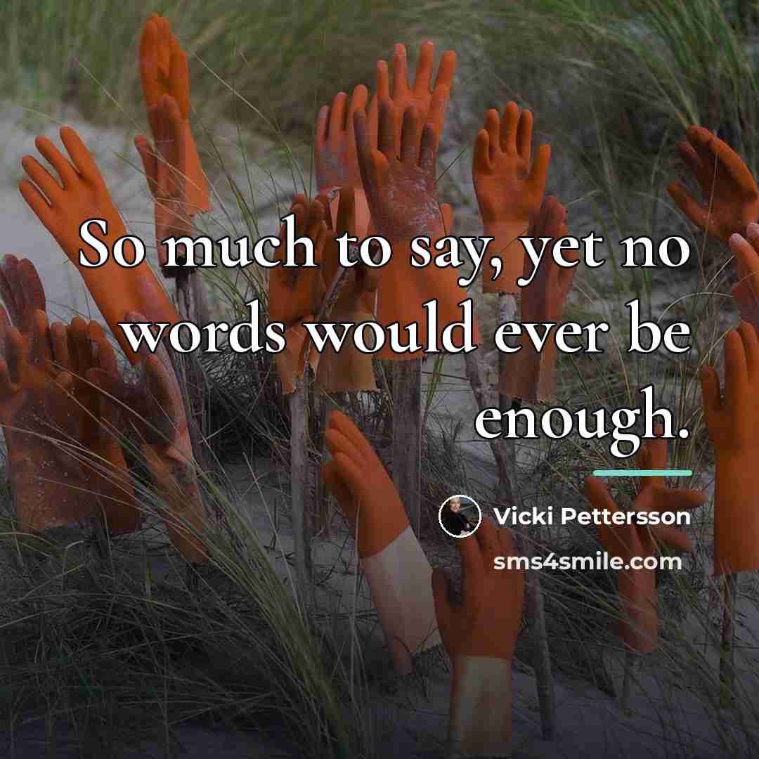 “So much to say, yet no words would ever be…” quote by Vicki Pettersson